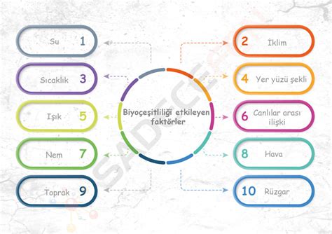 Lazer Epilasyon Etkisi Süresi